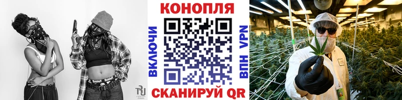 Виды наркотиков купить Новосокольники Бошки Шишки  mega ТОР  ГАШ  Альфа ПВП  АМФЕТАМИН 