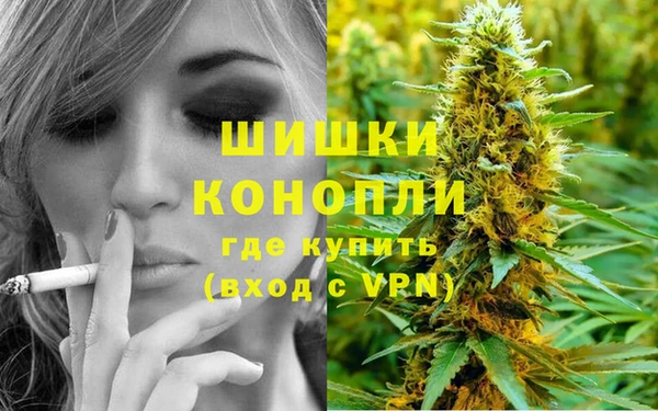apvp Бородино