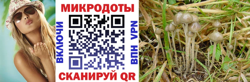 ОМГ ОМГ ONION  Новосокольники  Псилоцибиновые грибы мухоморы 